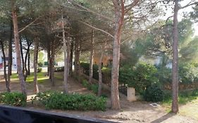 Appartement Argelès-sur-Mer, 2 pièces, 4 personnes - FR-1-388-43